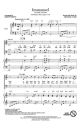 Immanuel Chor CD
