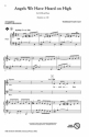 The Sunday Singer - Christmas/Winter 28 Chor CD