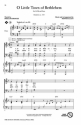 The Sunday Singer - Christmas/Winter 28 Chor CD-Box