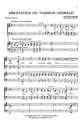 Hans Leo Hassler, Meditation On 'Passion Chorale' SATB Chorpartitur