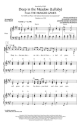 Deep in the Meadow Lullaby Chor CD