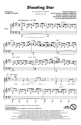 Adam Young, Shooting Star Chor CD