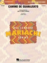 Sarah McLachlan, Angel ShowTrax CD Chor CD
