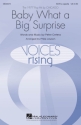 Peter Cetera, Baby What a Big Surprise SATB Chorpartitur