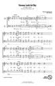 Joe Liles, Harmony Leads the Way Chor CD