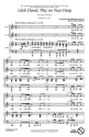 Little David play on your harp SA Chorpartitur