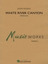 John Higgins, White River Canyon (Overture) Concert Band Partitur + Stimmen