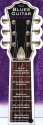 Blues Guitar Scale Deck Gitarre Buch + CD