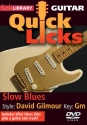Slow Blues - Quick Licks Gitarre DVD