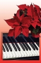 Recital Program #61 - 25 Pkg Klavier Buch