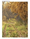 Jim Stephenson, Road Not Taken Solo Trombone and Trombone Ensemble Klavierauszug