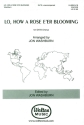 Michael Praetorius, Lo, How a Rose E'er Blooming SATB a Cappella Chorpartitur