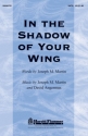 David Angerman_Joseph M. Martin, In the Shadow of Your Wing SATB Chorpartitur