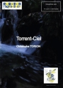 Christophe Torion, Torrent-Ciel Vibraphone Buch