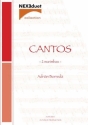Andrian Borreda, Cantos 2 Marimbas Buch
