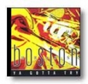 Ya Gotta Try Concert Band CD