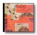 Friendly Amendments Concert Band CD