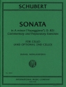 Franz Schubert, Sonata In A Minor D 821 1-2 Cellos