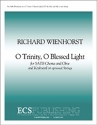 Richard Wienhorst, O Trinity, O Blessed Light SATB, Keyboard [Organ or Piano], Oboe and opt. Strings Stimme