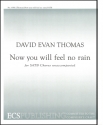 David Evan Thomas, Now You Will Feel No Rain SATB Stimme