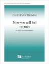 David Evan Thomas, Now You Will Feel No Rain SSAA a Cappella Stimme