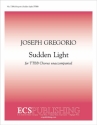 Joseph Gregorio, Sudden Light TTBB a Cappella Stimme