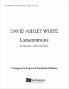 David Ashley White, Lamentations Soprano/High Voice, Cello and Piano Buch