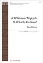 David Conte, A Whitman Triptych: II. What Is the Grass? Tenor Solo, SATB Chorus unaccompanied Chorpartitur