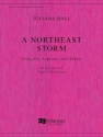 Juliana Hall, A Northeast Storm Soprano Voice and Piano Buch