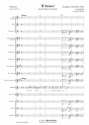Gaetano Donizetti, Concertino English Horn and Symphonic Band Partitur + Stimmen