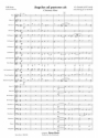 Emil Nikolaus von Reznicek, Donna Diana Concert Band/Harmonie Partitur + Stimmen