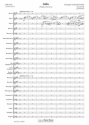 Wolfgang Amadeus Mozart, Crudele! - Non mi dir Soprano and Wind Ensemble Partitur + Stimmen