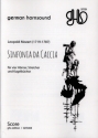 Sinfonia Da Caccia fr 4 Hrner, Streicher und Kugelbchse Partitur und Stimmen