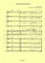 Theresia Schlechtriem, Nun freuet euch alle SSAM, 2 Fl + Streichquartett - Partitur