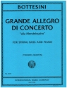 Grande Allegro di Concerto for string bass and piano
