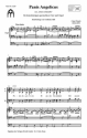 Franck, Csar, Panis angelicus SABar und Orgel