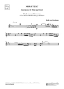 DER STERN (Intermezzo.) Nr. 3 aus dem Oratorium 'Eine Kleine Weihnacht Instrumentalstck Instrumentalstimme Flte in C