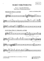 MARI VERKNDIGUNG Nr. 6+7 aus dem Oratorium 'Eine Kleine Weihnachtsge fr Solostimmen, Chor, Flte in C, Cello ad lib., Pauken u. Orgel Instrumentalstimme Flte in C als Einlegeblatt