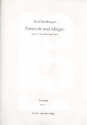 Pastorale und Allegro fr Flte, Oboe und Fagott Partitur und Stimmen