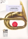 Luftballon-Polka f�r Blasorchester Partitur und Stimmen