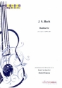 Badinerie de la suite no.2 BWV1067 pour flte et guitare