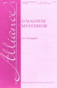 O Magnum Mysterium for 2-part treble chorus, cello and piano or organ score