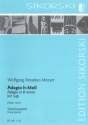 Adagio h-Moll Streichquartett