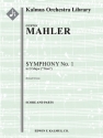 Symphony No 1 in D 