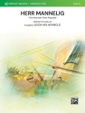 Herr Mannelig (s/o) String Orchestra