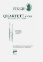 Quartett C-Dur KVAnh.171 (285b) f�r 2 Fl�ten (fakultativ f�r 3 Fl�ten) Spielpartitur