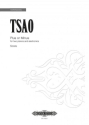 Plus or Minus  for 2 pianos and electronics full score