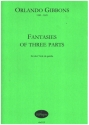 Fantasies on three Parts für 3 Viole da gamba Partitur und Stimmen (Bc nicht ausgesetzt)