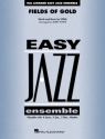Fields of Gold for easy jazz ensemble score and parts