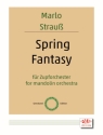 Spring Fantasy fr Zupforchester  Partitur